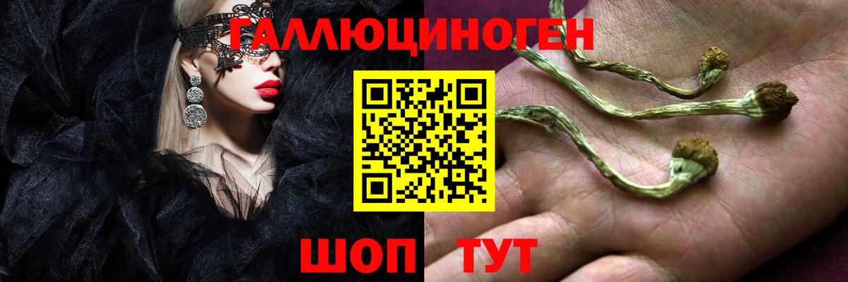 Галлюциногенные грибы GOLDEN TEACHER Реж
