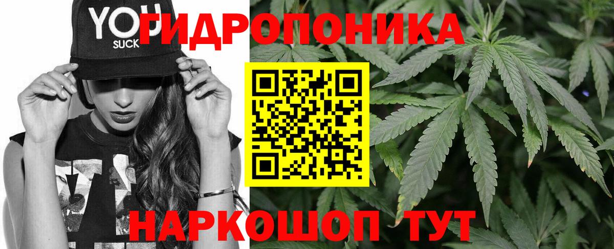 Бошки марихуана OG Kush  Шишки марихуана Amnesia  Вход с VPN  Реж  Каннабис сатива 